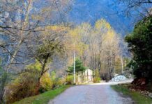 Mount Katao, 15000 ft, North Sikkim, Yumthang Valley