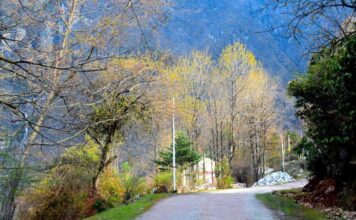 Mount Katao, 15000 ft, North Sikkim, Yumthang Valley